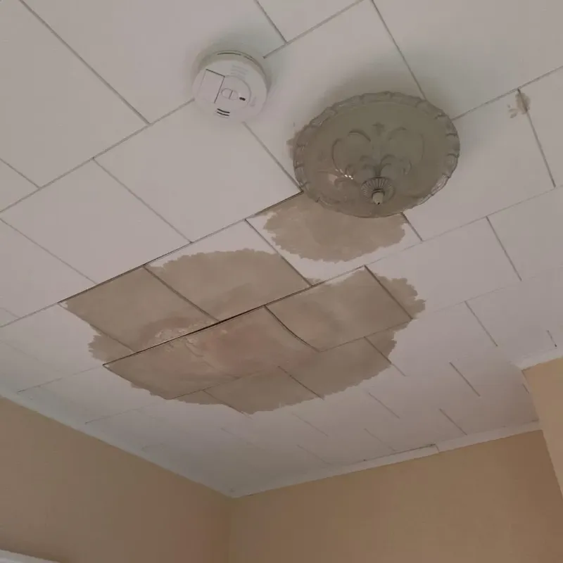 Ceiling Water Damage Repair in Casey, IL