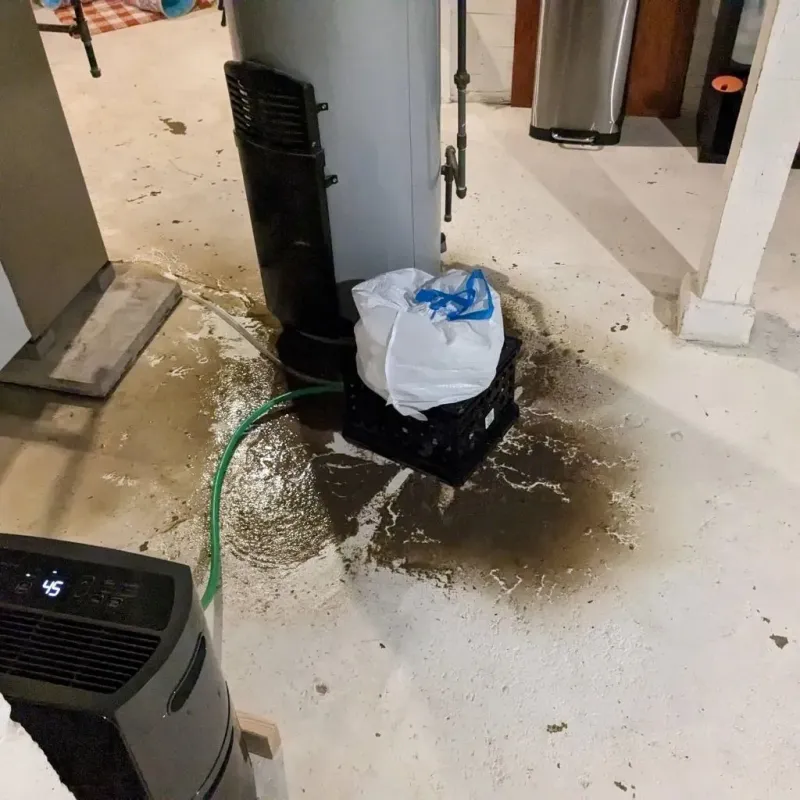 Sewage Backup Cleanup Service in Casey, IL